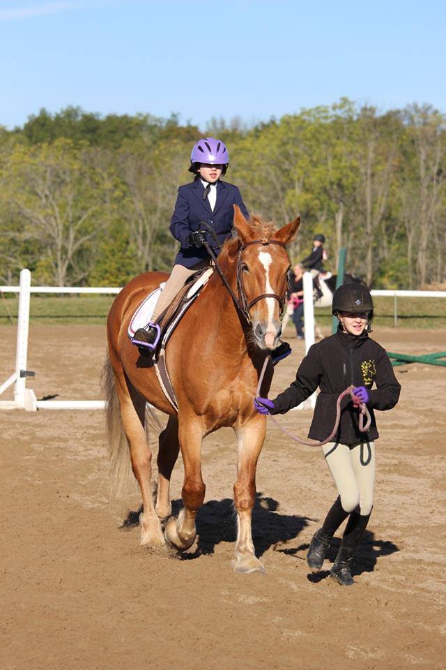 October Hamilton Hunt Schooling Show Daisy Meadows Equestrian