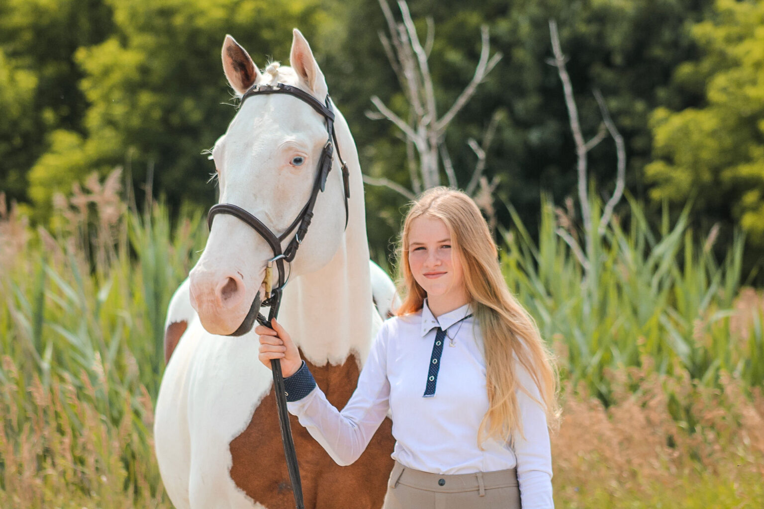DME Academy Horses Daisy Meadows Equestrian