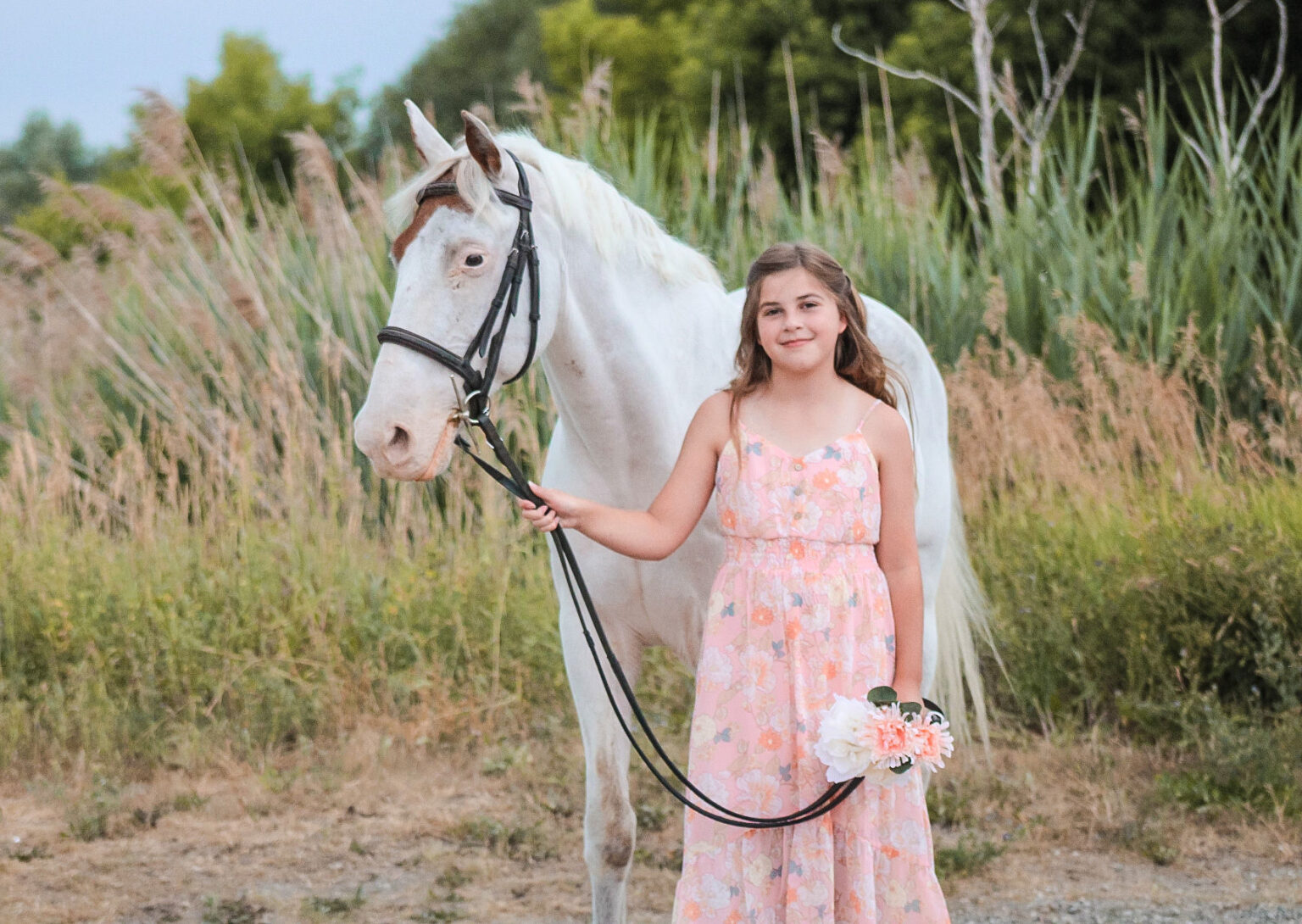 DME Academy Horses Daisy Meadows Equestrian